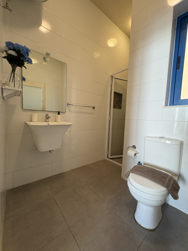 vik_11_-_toilet